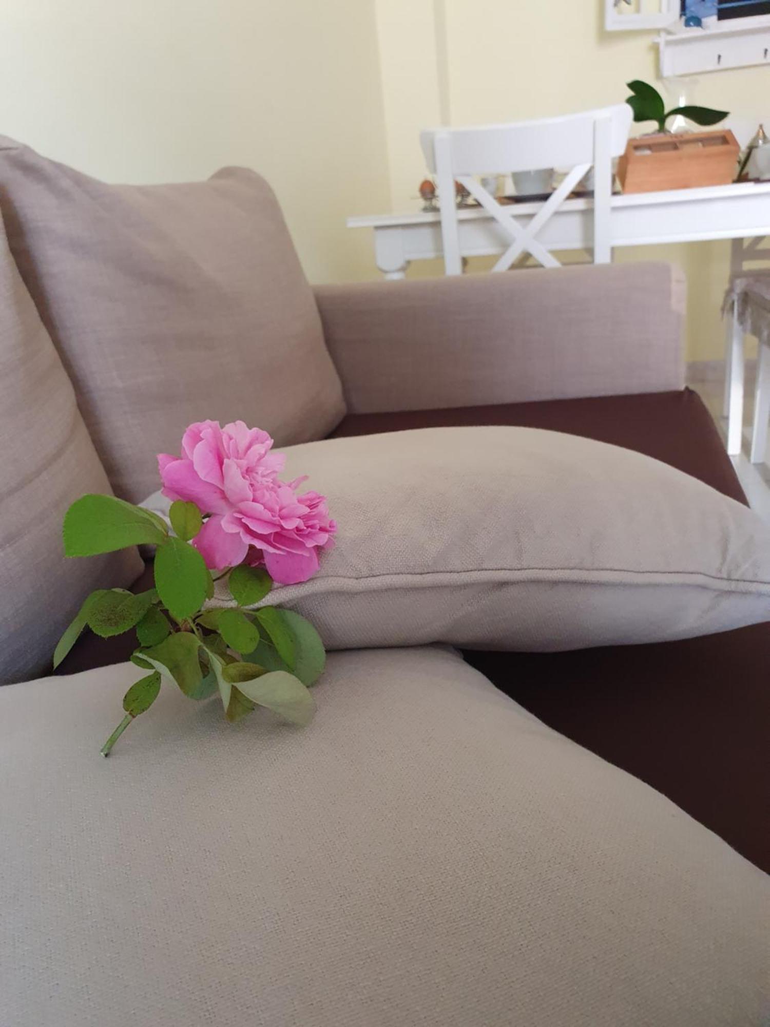 Casa Vacanze Rosy "Nel Verde" Palinuro Extérieur photo
