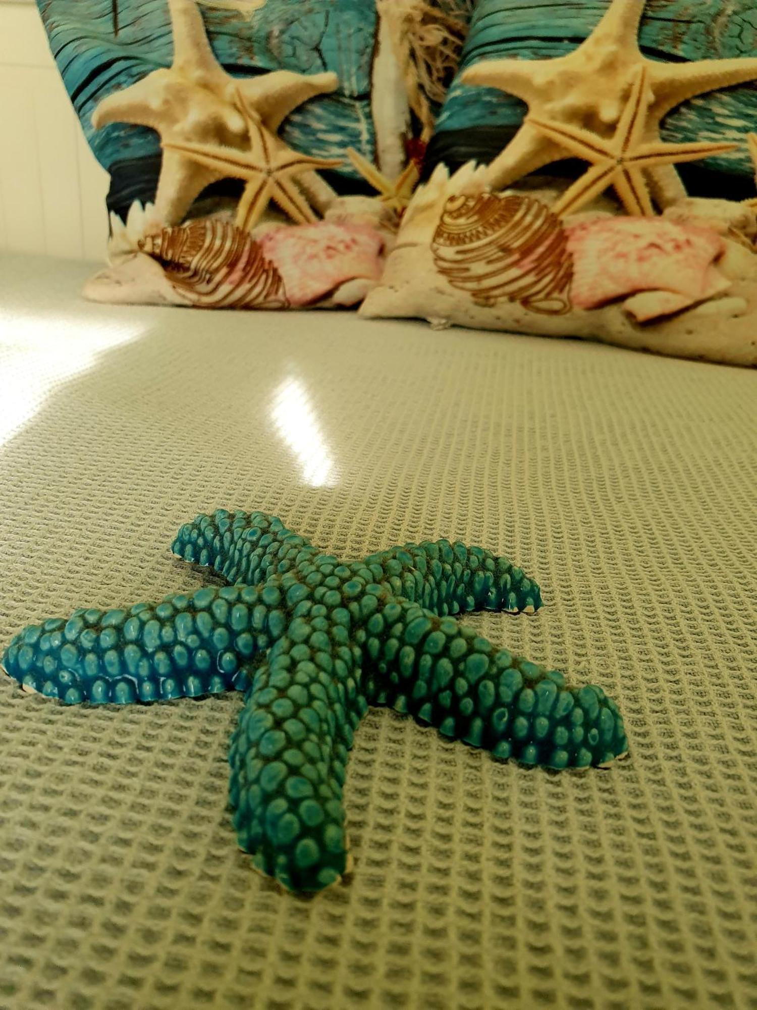 Casa Vacanze Rosy "Nel Verde" Palinuro Extérieur photo