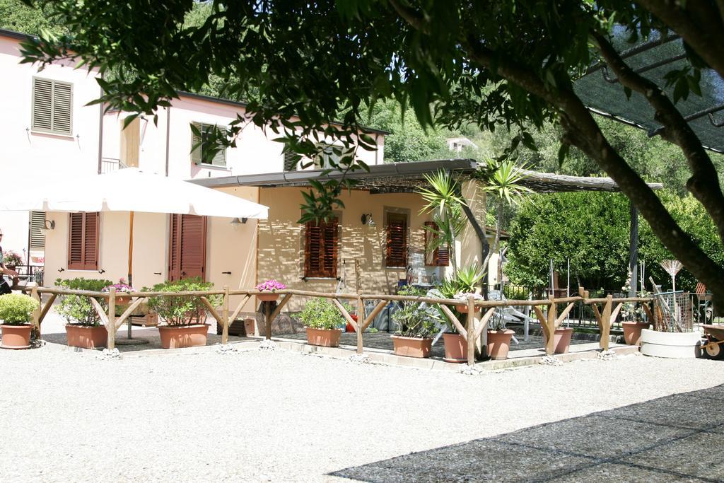 Casa Vacanze Rosy "Nel Verde" Palinuro Chambre photo