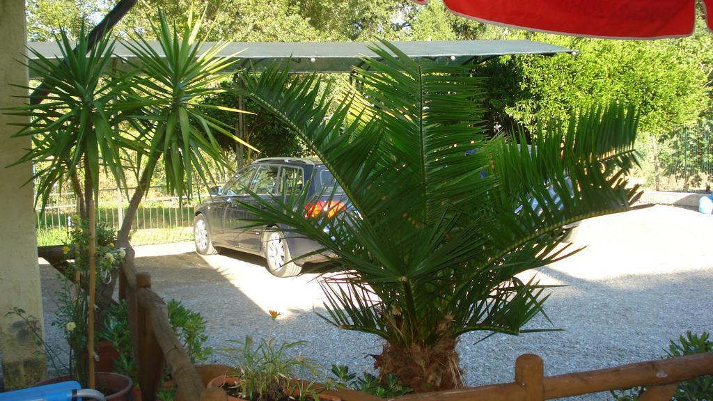 Casa Vacanze Rosy "Nel Verde" Palinuro Extérieur photo